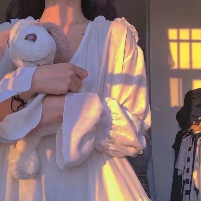 海豚的故事2海报